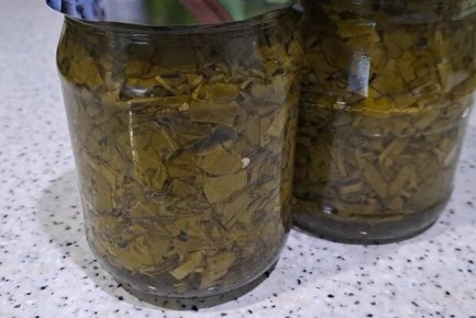 Зимнее пробуждение: Как заготовить щавель на зиму легко и вкусно