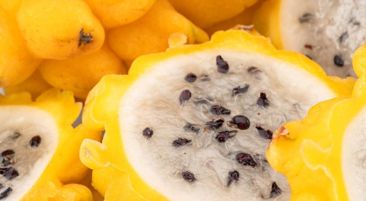 Питахайя: действительно ли этот фрукт способен на чудеса для вашего пищеварения?