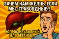 Почему желчь раскрывает нашу настоящую природу: неудобные факты для веганов