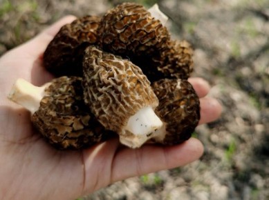 ����� � ����� ��������� �������: ���� ������� ��� � ������� �������� ������