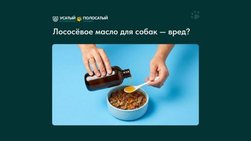 ��������� �����: ����������� ������ ��� �������� ����� ������