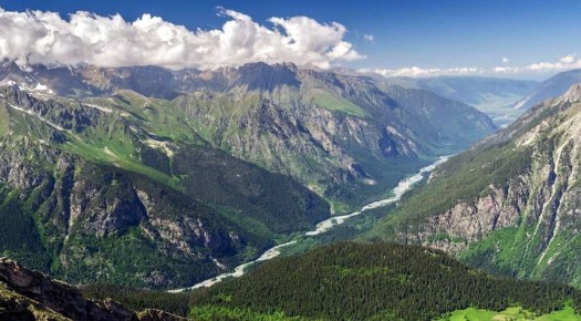 ��������� ������ ������������� �����������: ����������� �� �������