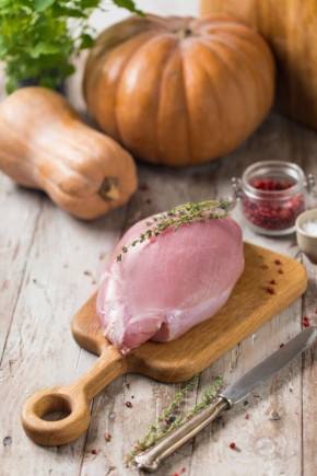 �������: ������ �������� � ����������