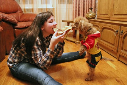 ������� ������ ��������� ������� � ���� � ������ �������