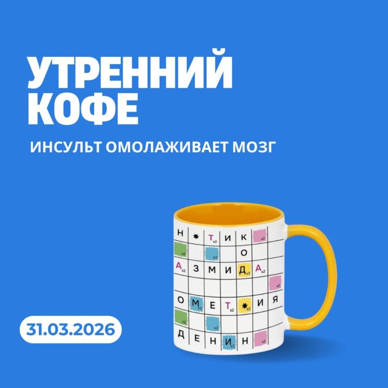 Новая жизнь мозга: инсульт меняет нейронные сети
