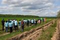 Новая экоинициатива: в Калужской области высадили 12 тысяч дубов