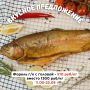 Специальное предложение от Акуловки: ловите вкусную скидку на форель!