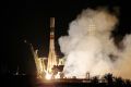 Космический гриб: неожиданные открытия из Антарктиды